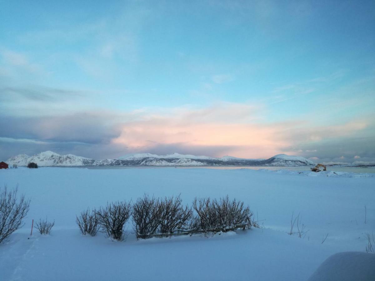 Midnattsolveien 3158,Sommarhusstrand Laukvik Lofoten Norway 外观 照片