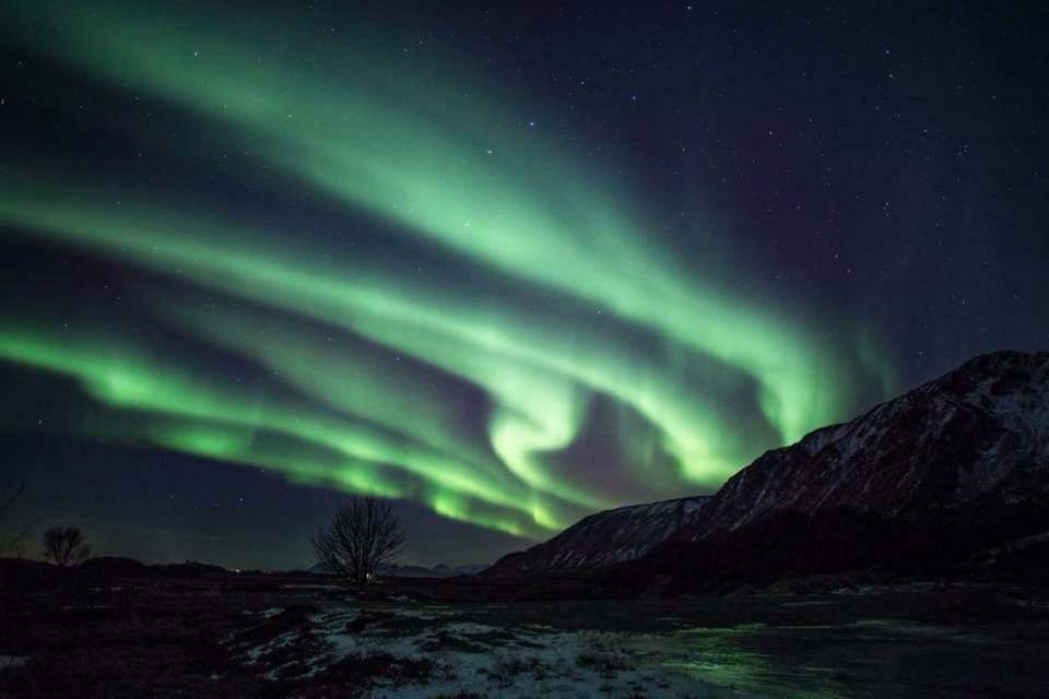 Midnattsolveien 3158,Sommarhusstrand Laukvik Lofoten Norway 外观 照片