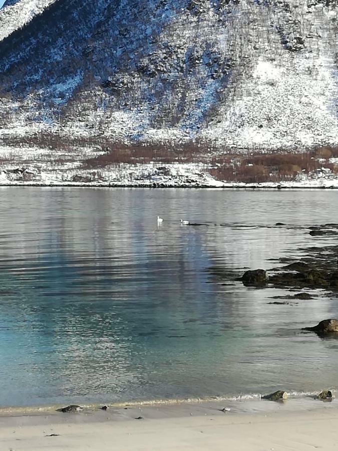 Midnattsolveien 3158,Sommarhusstrand Laukvik Lofoten Norway 外观 照片
